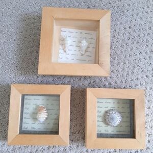Three small wood frames sea shell art